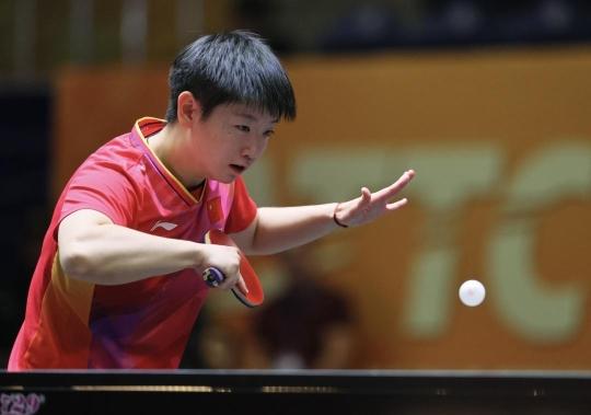 水平玩家和 水平玩家和