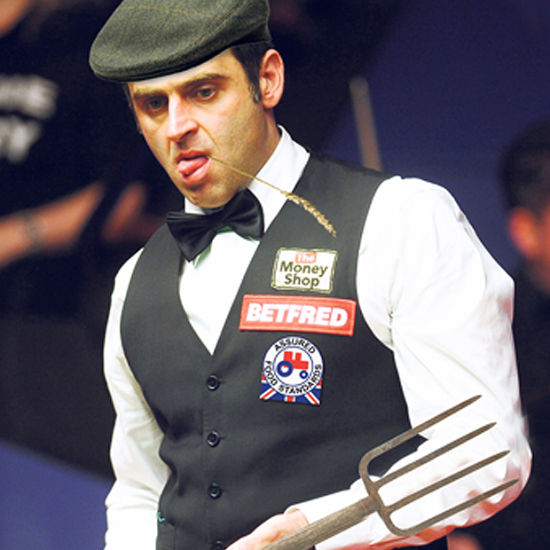 这一决定体 这一决定体