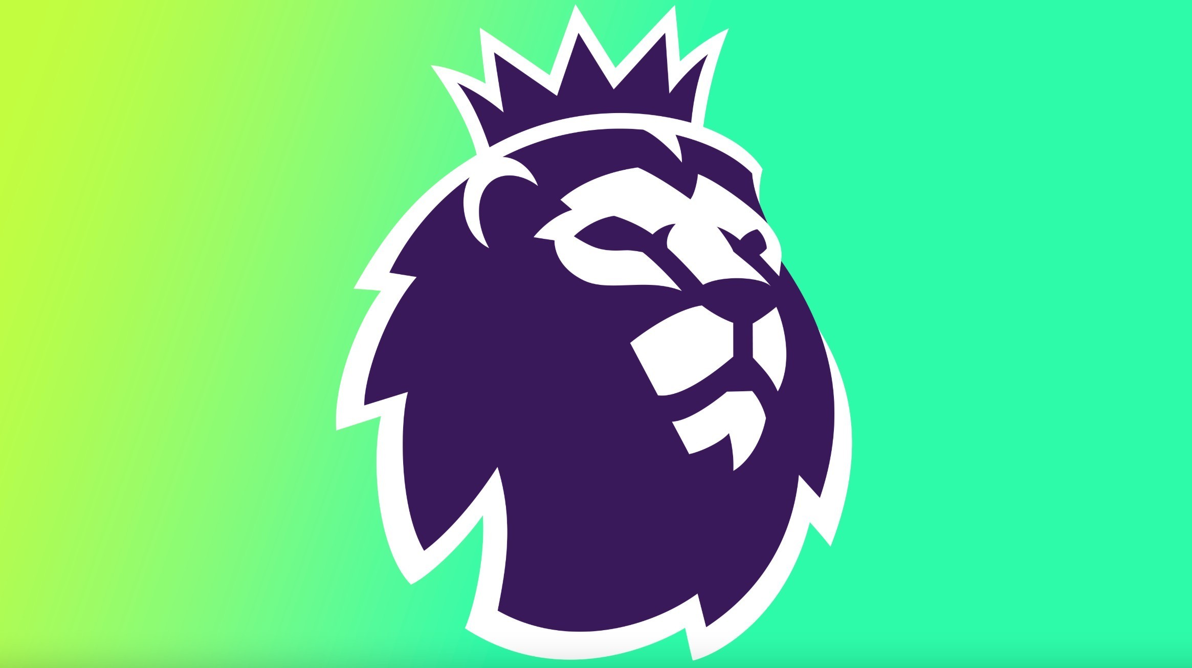 球迷的广泛 球迷的广泛