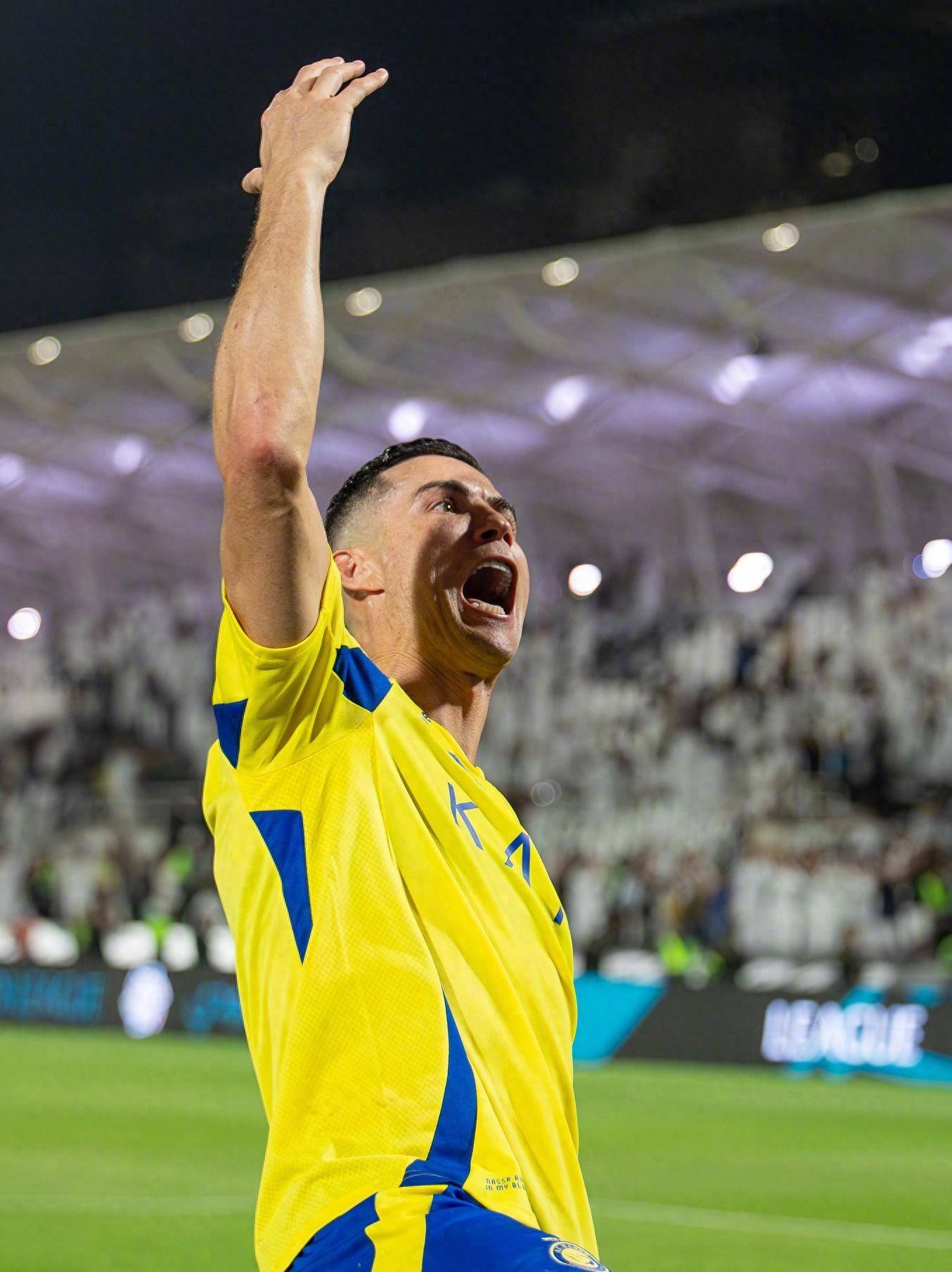 沙特职业联 沙特职业联