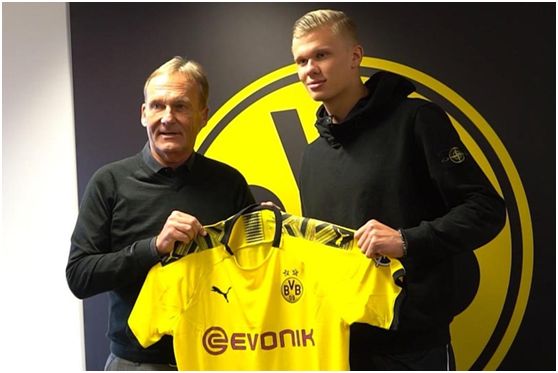 真正放大差 真正放大差